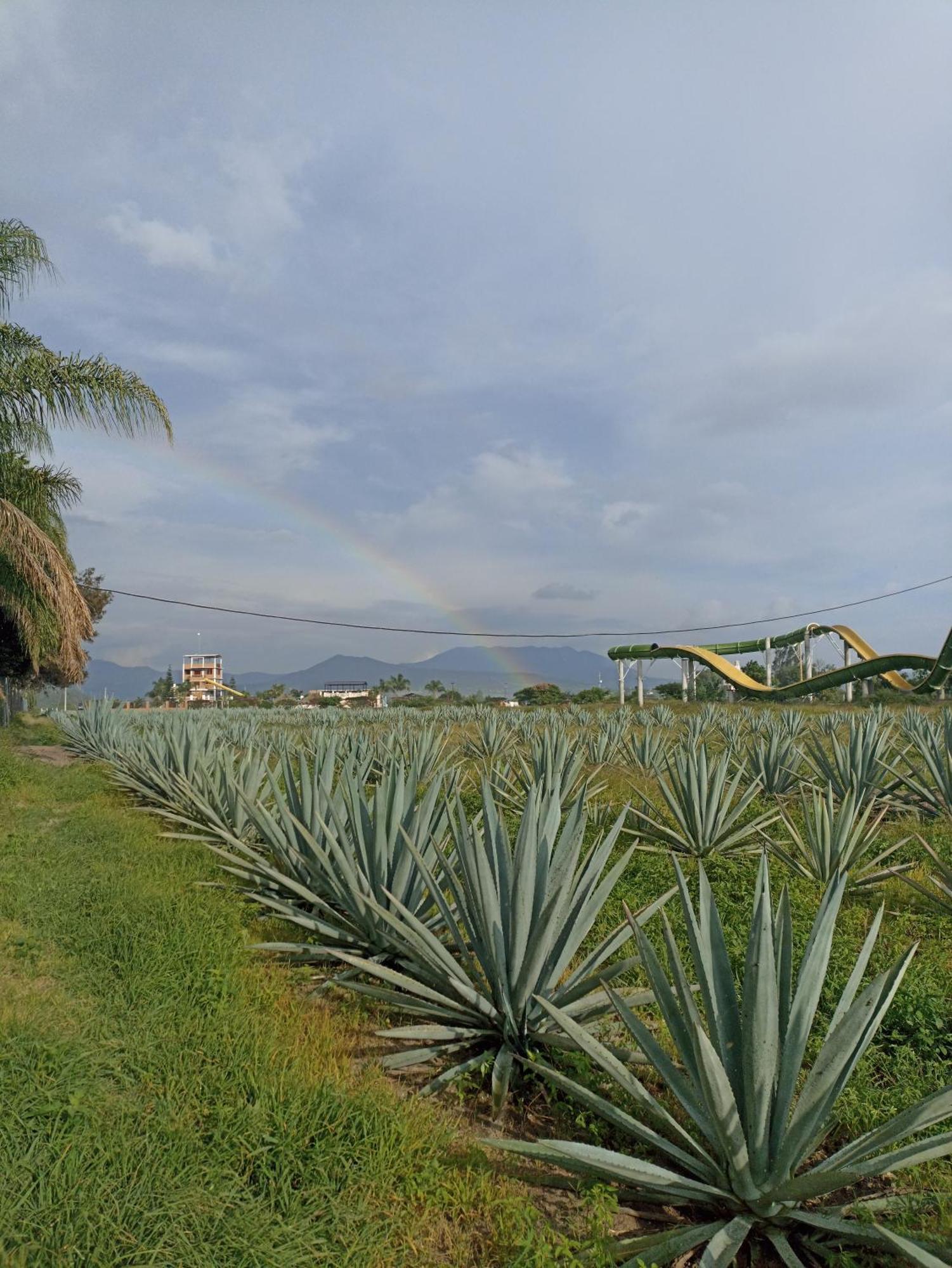 Don Pedrillo Hotel Oaxaca Exterior photo